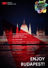 Рокада Мед отправляется в Будапешт