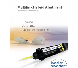 Ivoclar Multilink Hybrid Abutment