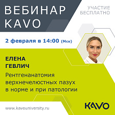 Анонс. Вебинар KaVo 2 февраля. Рентгенанатомия верхнечелюстных пазух в норме и при патологии